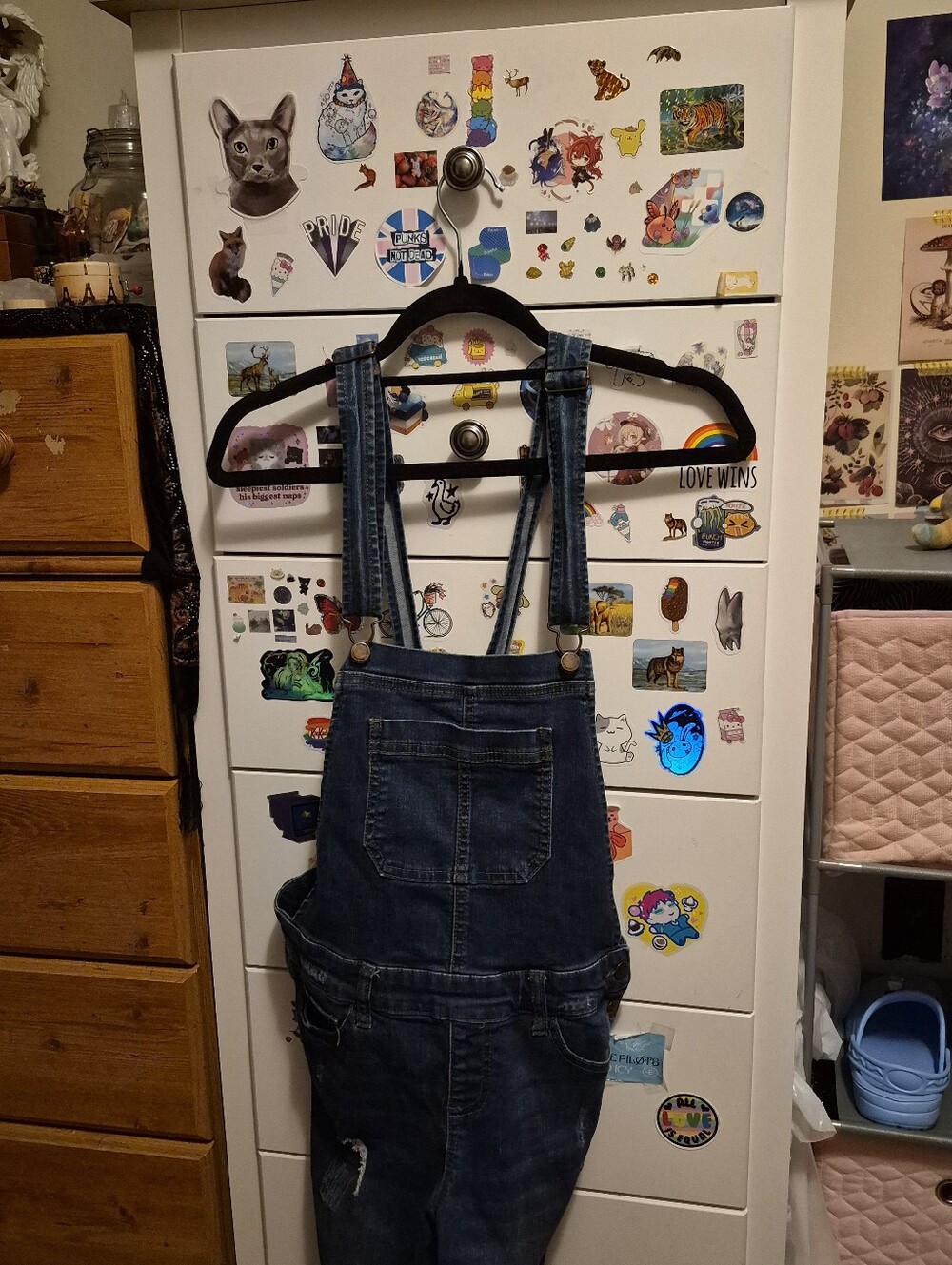 Wax Jean Overalls